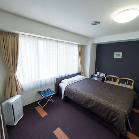 Hotel Shin Osaka-3